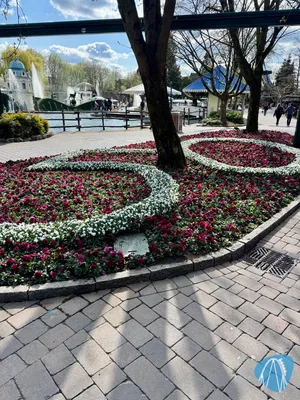 Foto aus Europa-Park von buecherwurm141