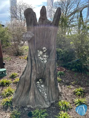 Foto aus Heide Park von Babyboomer