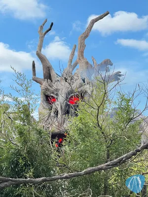 Foto aus Heide Park von Babyboomer