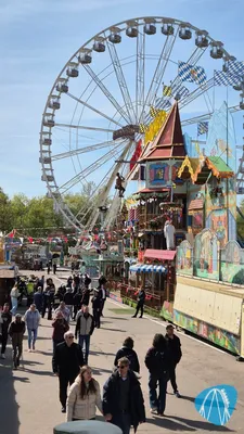 Foto aus Speyer - Brezelfest von coaster_Markus