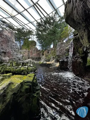 Photo from Oceanário de Lisboa by Diddy
