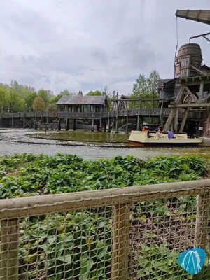 Foto aus Bellewaerde von AffigerAffe