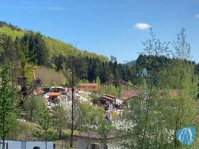 Foto aus Edelwies von GBC Andre