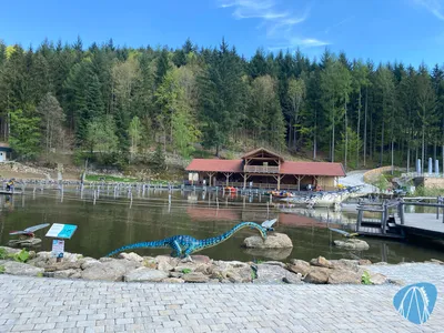 Foto aus Edelwies von GBC Andre