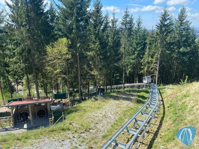Foto aus Edelwies von GBC Andre