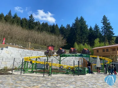 Foto aus Edelwies von GBC Andre