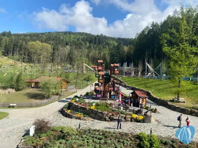 Foto aus Edelwies von GBC Andre
