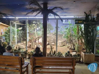 Foto aus Reptilienzoo Allgäu von Harald sein Vater