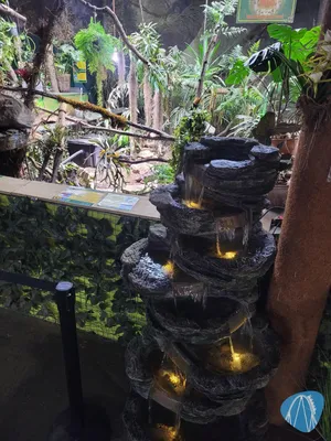 Foto aus Reptilienzoo Allgäu von Harald sein Vater