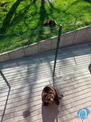 Foto aus Tierpark Hirschfeld von Chris92