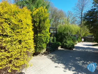 Foto aus Tierpark Hirschfeld von Chris92