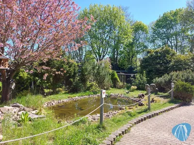 Foto aus Tierpark Hirschfeld von Chris92