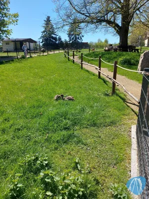 Foto aus Tierpark Hirschfeld von Chris92