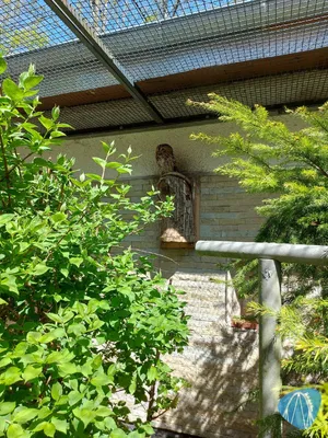Foto aus Tierpark Hirschfeld von Chris92