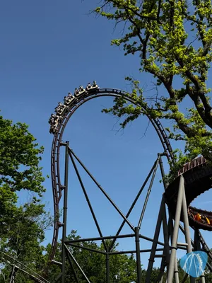 Foto aus Parc Astérix von derzornigezorn