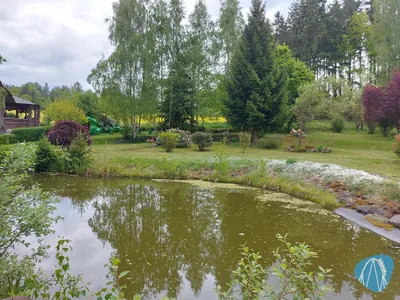 Foto aus Freizeitpark Plohn von Chris92