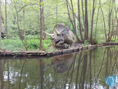 Foto aus Freizeitpark Plohn von Chris92
