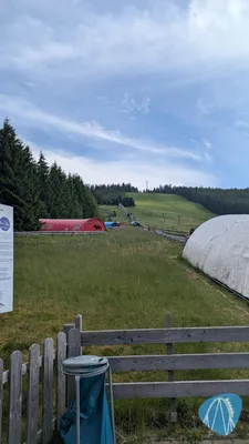 Foto aus Mehliskopf Bobbahn von ViernheimerBub
