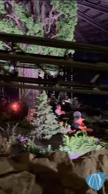 Foto aus Heide Park von Babyboomer