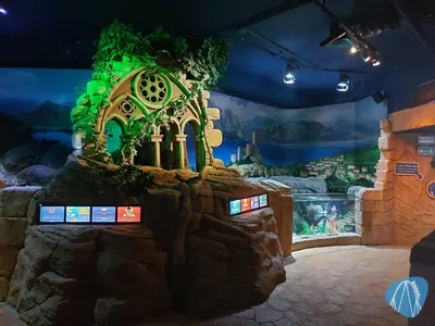 Foto aus SEA LIFE Gardaland von Chris92