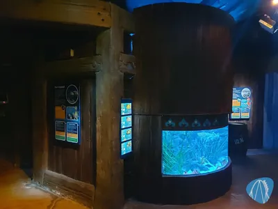 Foto aus SEA LIFE Gardaland von Chris92
