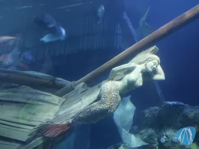 Foto aus SEA LIFE Gardaland von Chris92