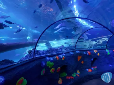 Foto aus SEA LIFE Gardaland von Chris92