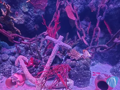 Foto aus SEA LIFE Gardaland von Chris92