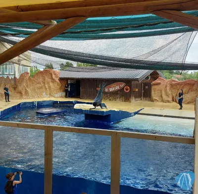 Foto aus SEA LIFE Gardaland von Chris92