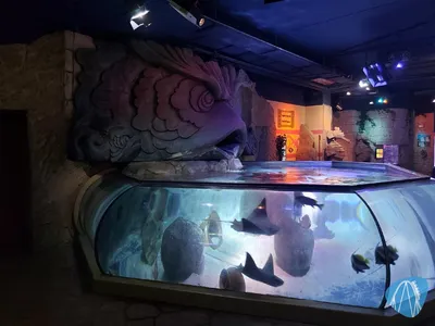 Foto aus SEA LIFE Gardaland von Chris92