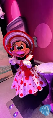 Foto aus Tokyo Disneyland / 東京ディズニーランド von Diddy