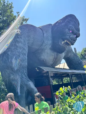Foto aus Bobbejaanland von Marco