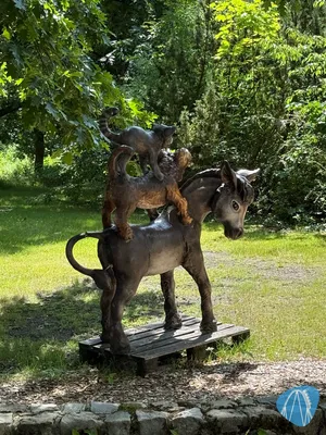 Foto aus Heide Park von Babyboomer
