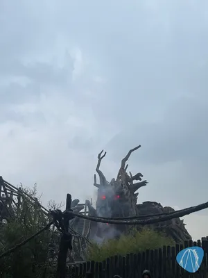 Foto aus Heide Park von jnasknb23