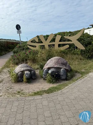 Foto aus Sylt Aquarium von Babyboomer