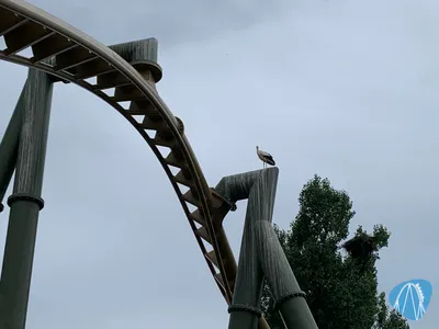 Foto aus Tripsdrill von Thorsten66955