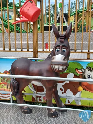 Foto aus Blieskastel-Webenheim - Bauernfest von Marc1