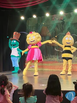 Foto aus Plopsaland Deutschland von anika_sophie95