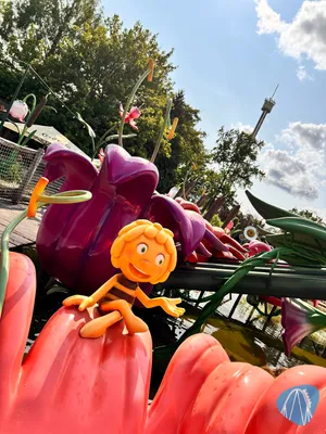 Foto aus Plopsaland Deutschland von anika_sophie95