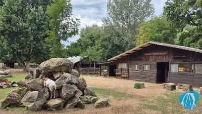Foto aus Tierpark Mainz-Kastel von coaster_Markus
