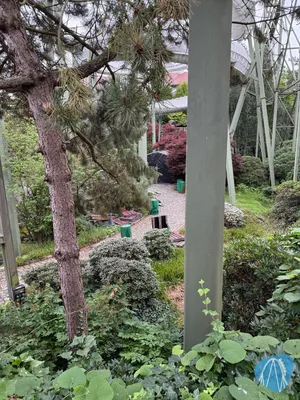 Foto aus Heide Park von Babyboomer