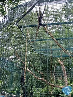 Foto aus Zoo Landau in der Pfalz von Marc1