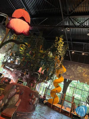 Foto aus Plopsaland Belgium von anika_sophie95