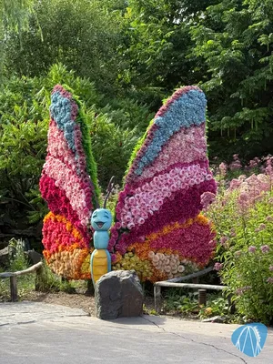 Foto aus Toverland von Babyboomer