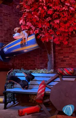 Foto aus Universal Studios Hollywood von Stefan