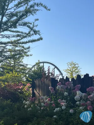 Foto aus Djurs Sommerland von schlockbemis