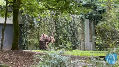 Foto aus Der Grüne Zoo Wuppertal von Highnoon