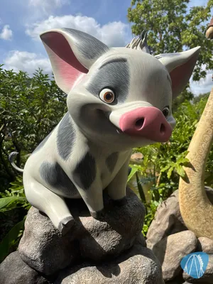 Foto aus Disneyland Paris von hdcthemepark