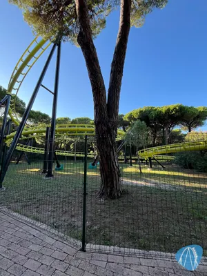 Foto aus Cavallino Matto von Larzi