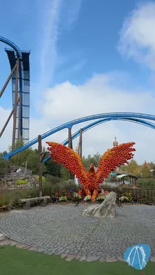 Foto aus Toverland von camox